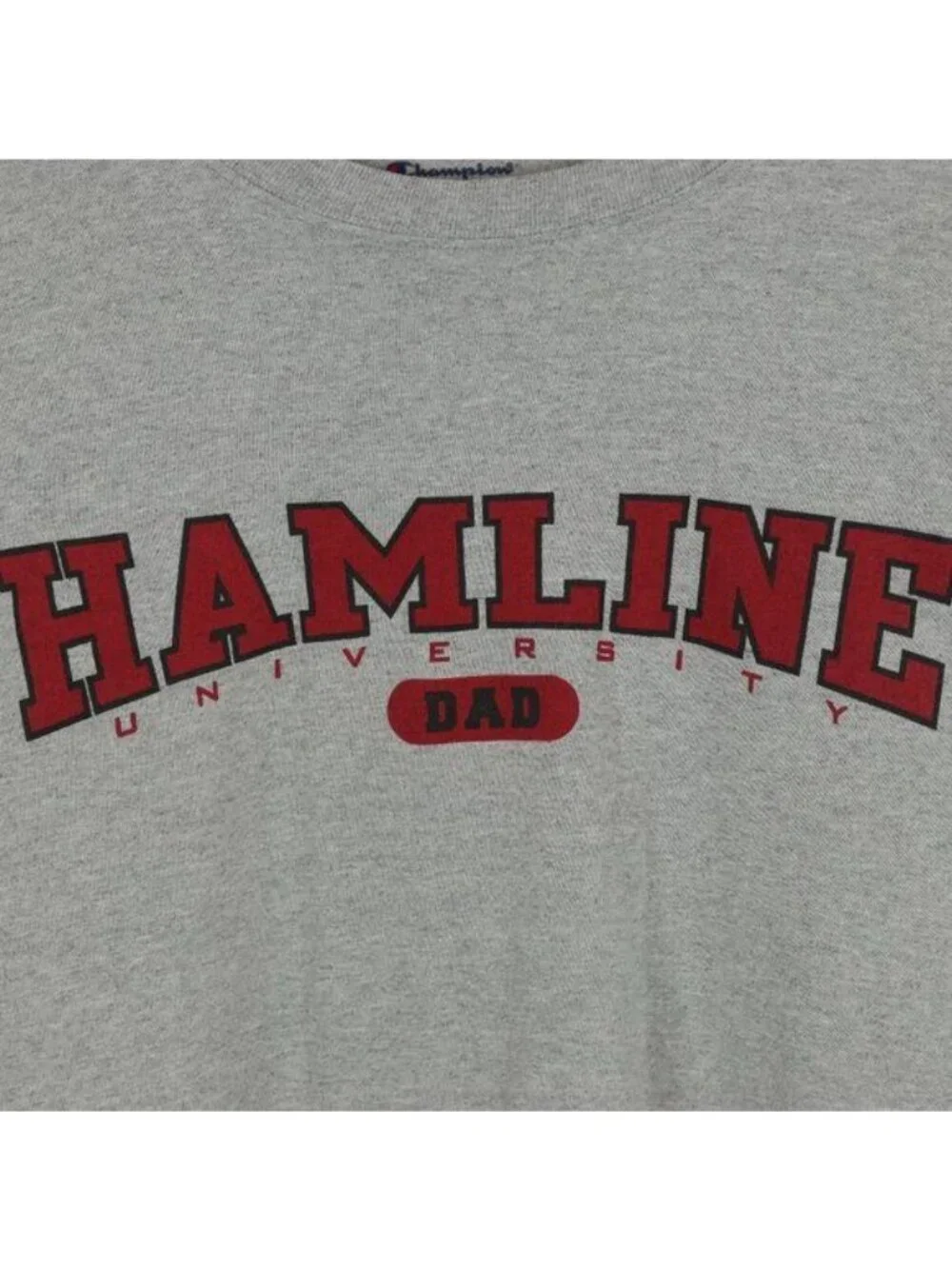 Champion Men's XL Gray Hamline University Dad Graphic Crew Neck Short Sleeve Tee - Picture 6 of 8